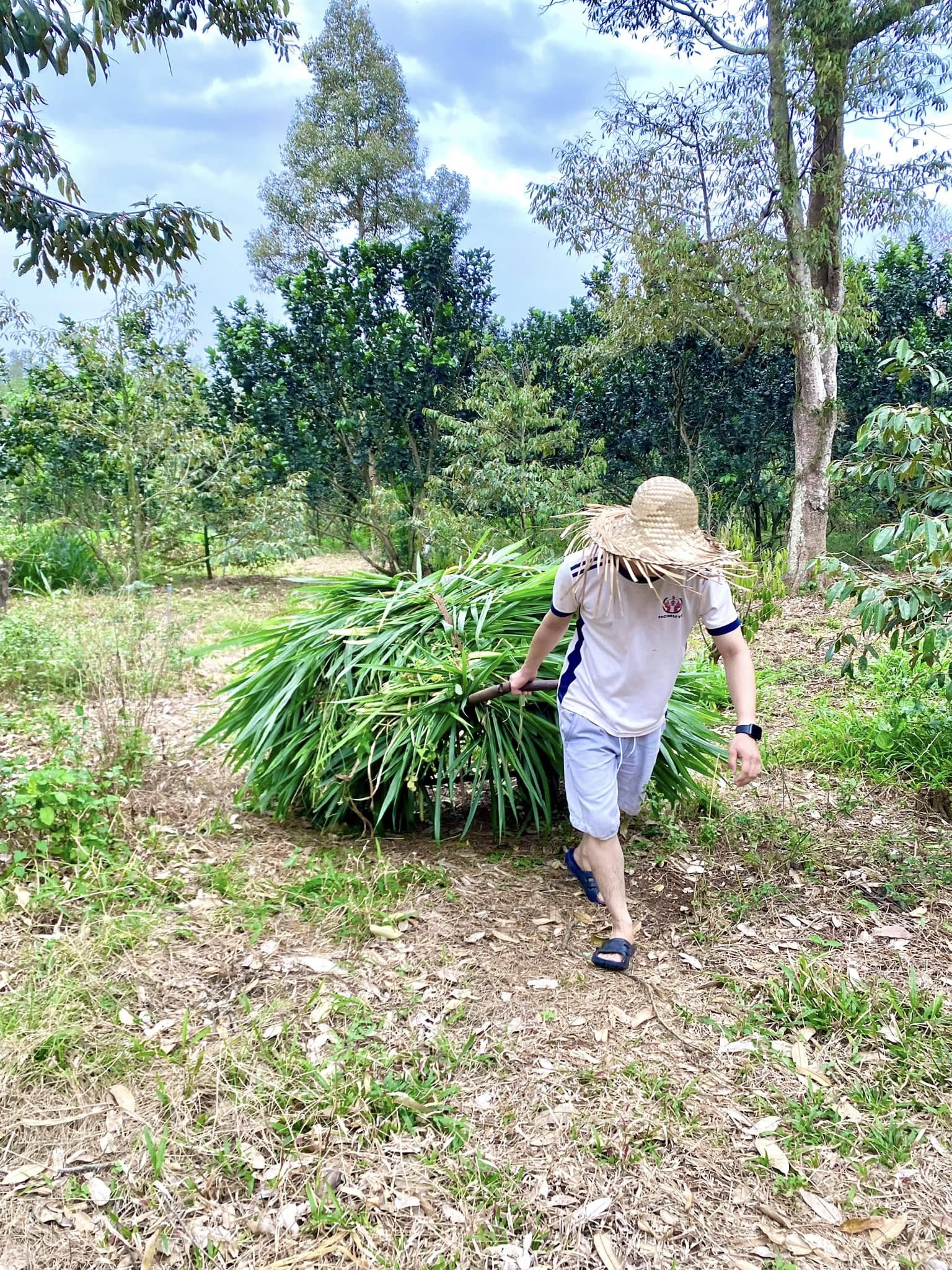 Trần Tiến Duy là ai