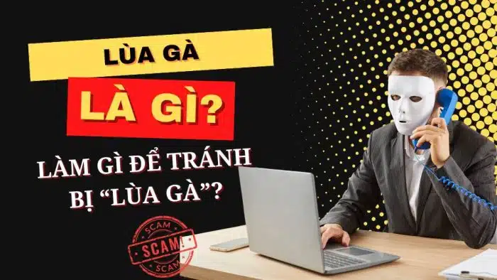 lùa gà là gì