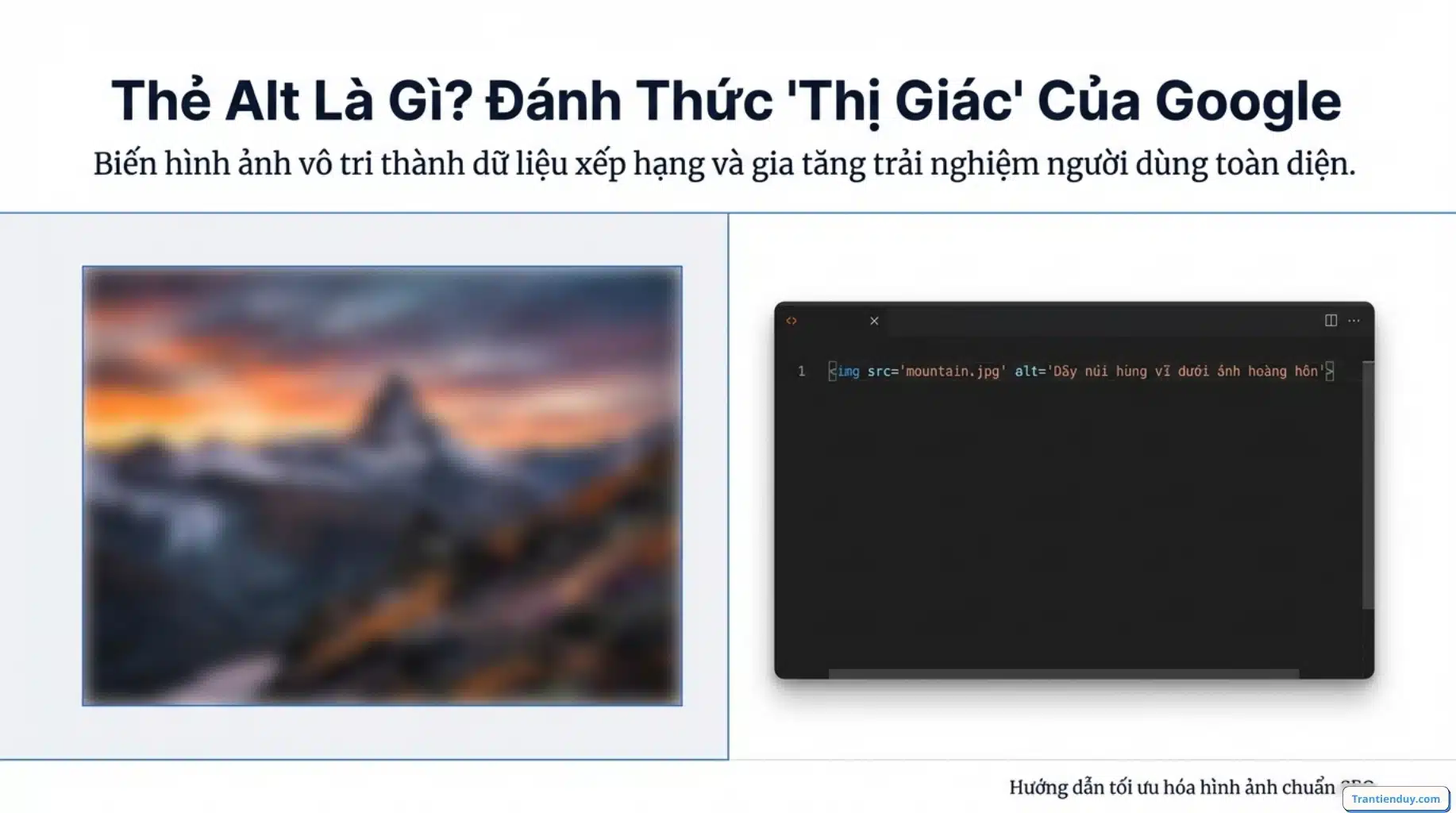 Thẻ ALT là gì? Cách tối ưu SEO hình ảnh Chuẩn 2026 ít ai biết 1 Thẻ ALT là gì