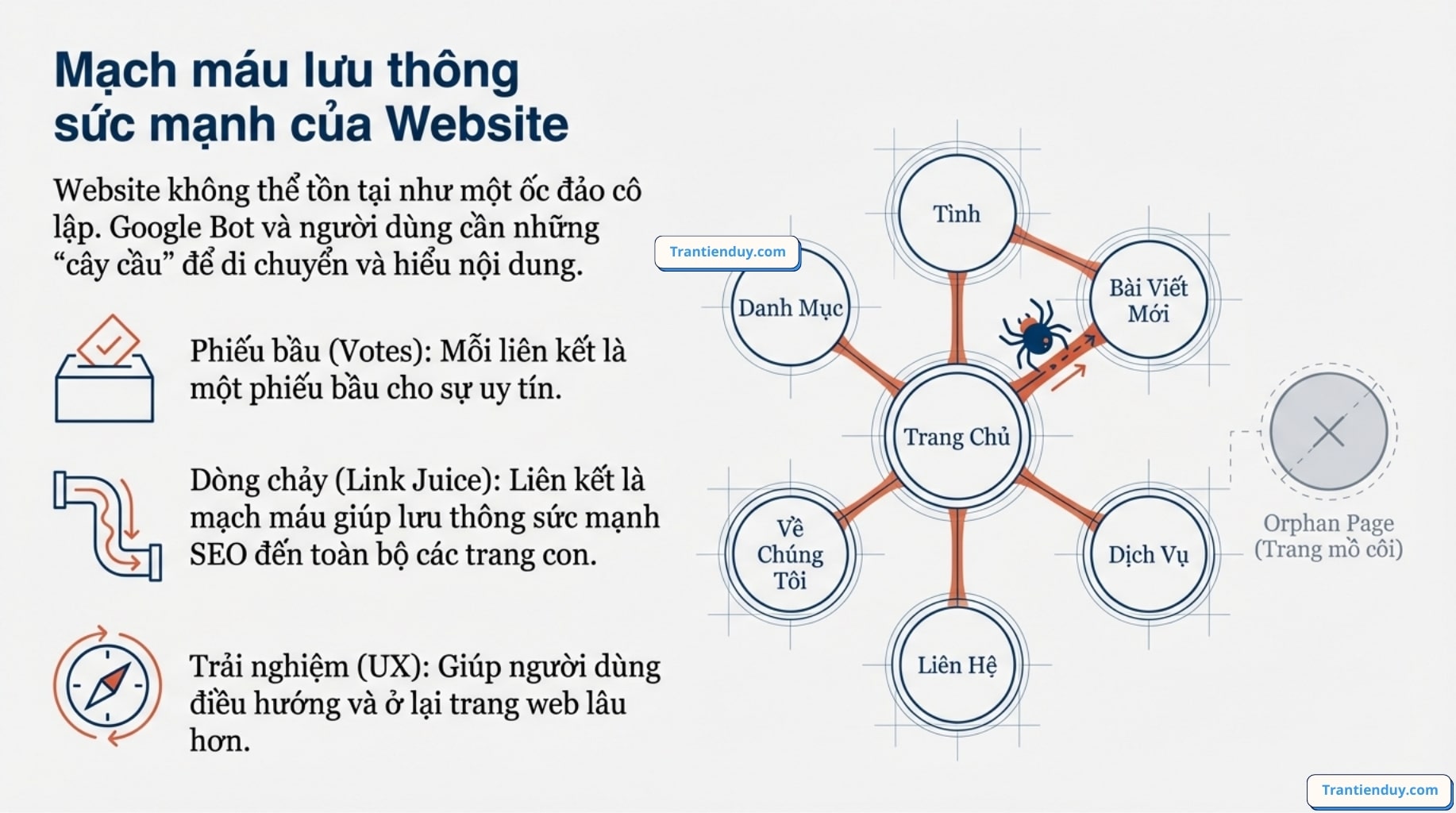 Internal link và External link là gì? Top 9+ điều bạn nên biết 8 internal link là mạch máu website