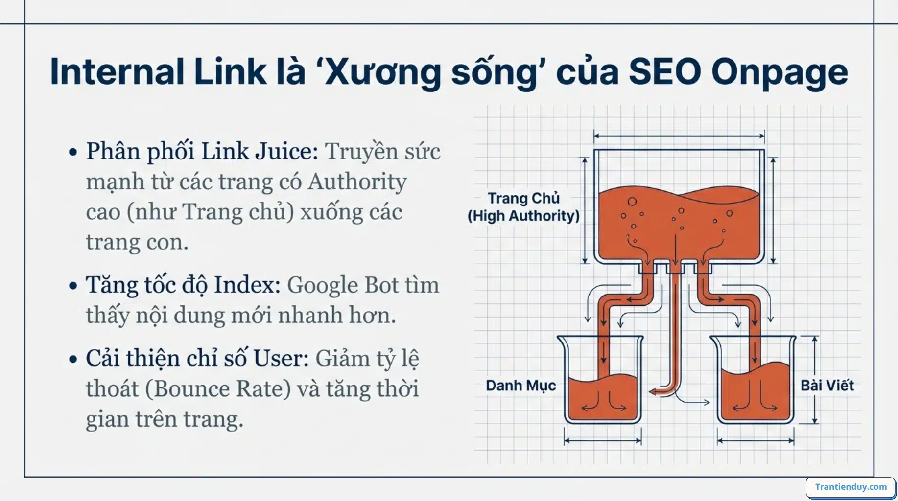 Internal link và External link là gì? Top 9+ điều bạn nên biết 6 internal quan trọng trong onpage